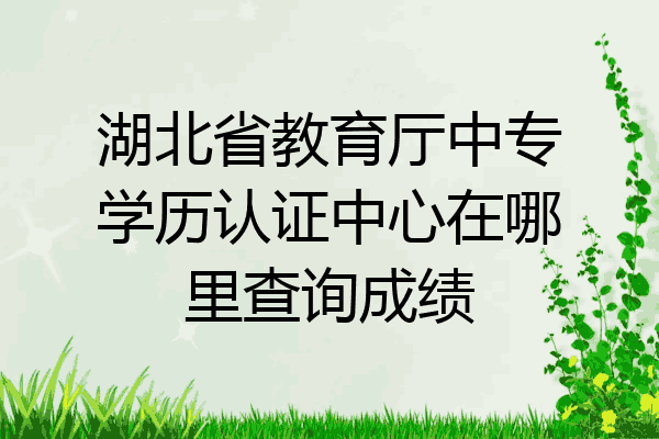 湖北省教育厅中专学历认证中心在哪里查询成绩