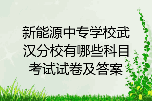 新能源中专学校武汉分校有哪些科目考试试卷及答案
