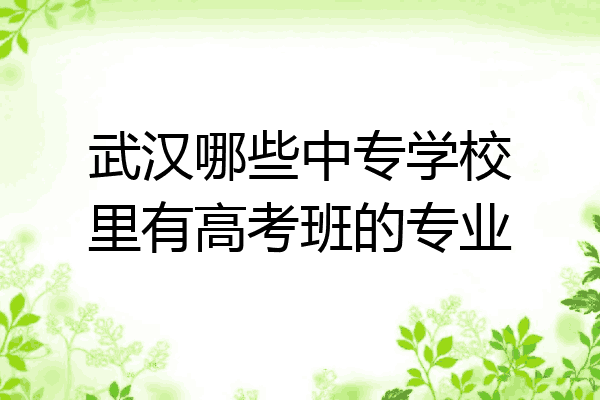武汉哪些中专学校里有高考班的专业