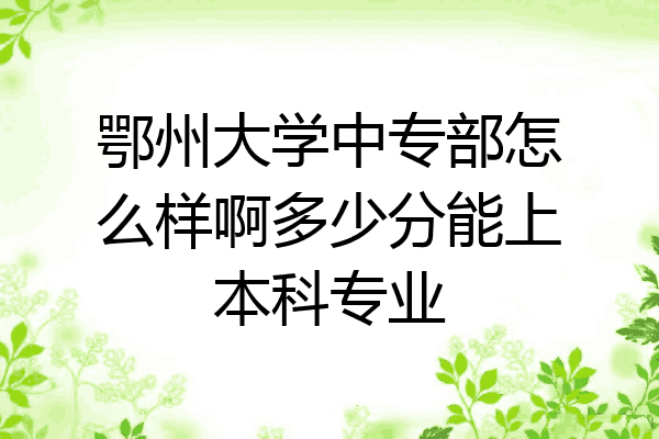 鄂州大学中专部怎么样啊多少分能上本科专业