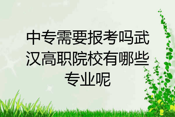 中专需要报考吗武汉高职院校有哪些专业呢