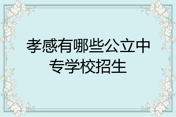 孝感有哪些公立中专学校招生
