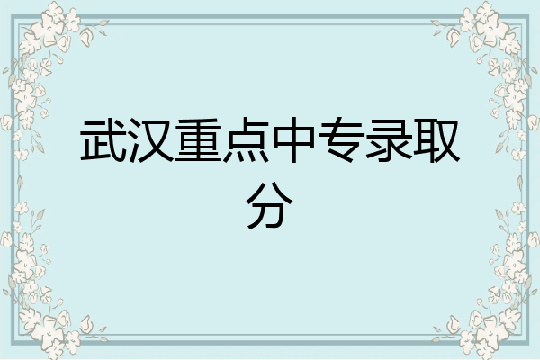 武汉重点中专录取分