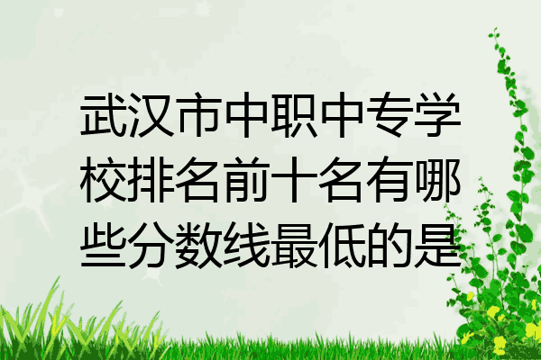 武汉市中职中专学校排名前十名有哪些分数线最低的是