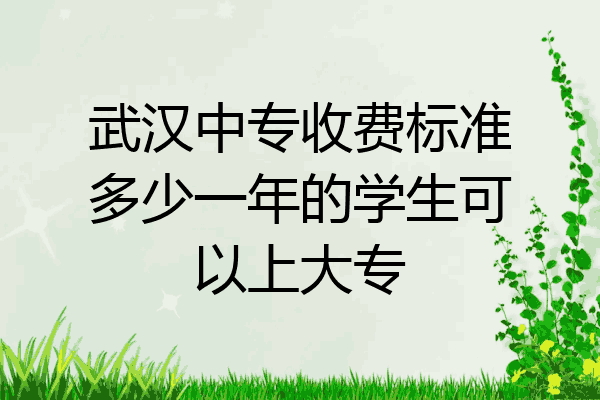 武汉中专收费标准多少一年的学生可以上大专