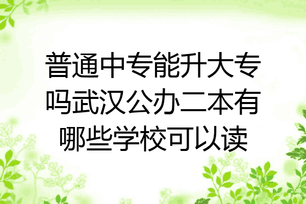 普通中专能升大专吗武汉公办二本有哪些学校可以读