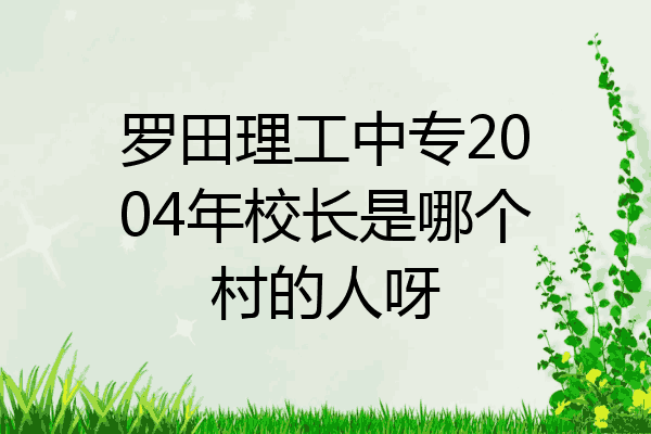 罗田理工中专2004年校长是哪个村的人呀