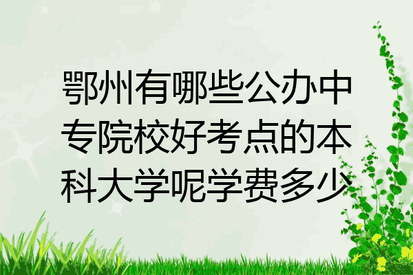 鄂州有哪些公办中专院校好考点的本科大学呢学费多少