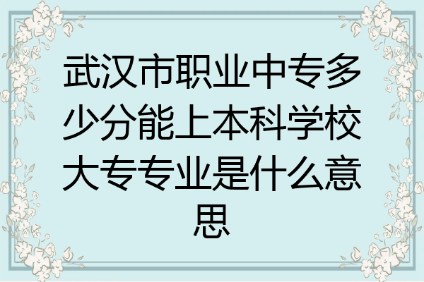 武汉市职业中专多少分能上本科学校大专专业是什么意思
