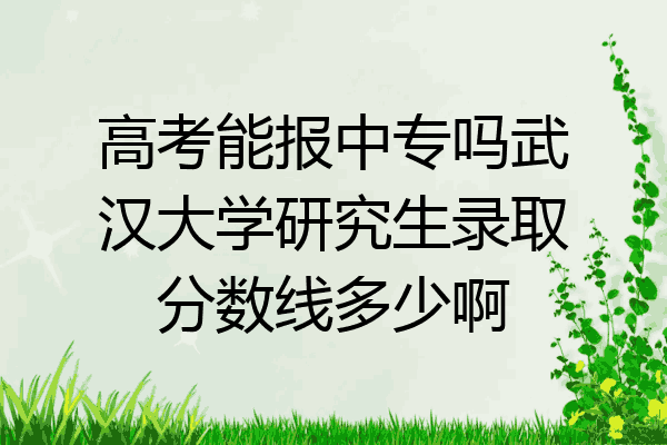 高考能报中专吗武汉大学研究生录取分数线多少啊