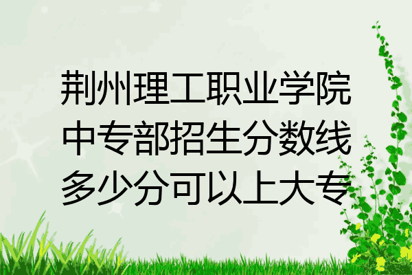 荆州理工职业学院中专部招生分数线多少分可以上大专