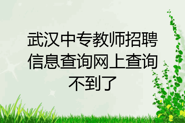 武汉中专教师招聘信息查询网上查询不到了