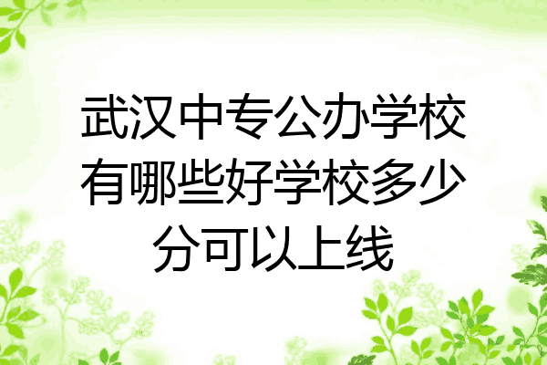 武汉中专公办学校有哪些好学校多少分可以上线