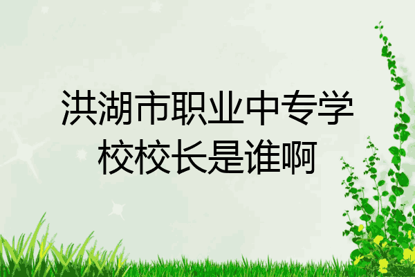 洪湖市职业中专学校校长是谁啊