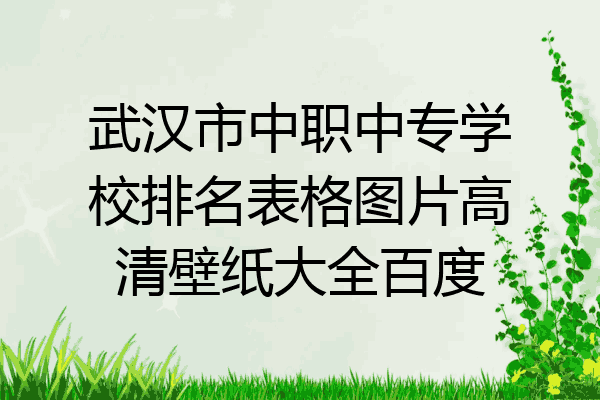 武汉市中职中专学校排名表格图片高清壁纸大全百度
