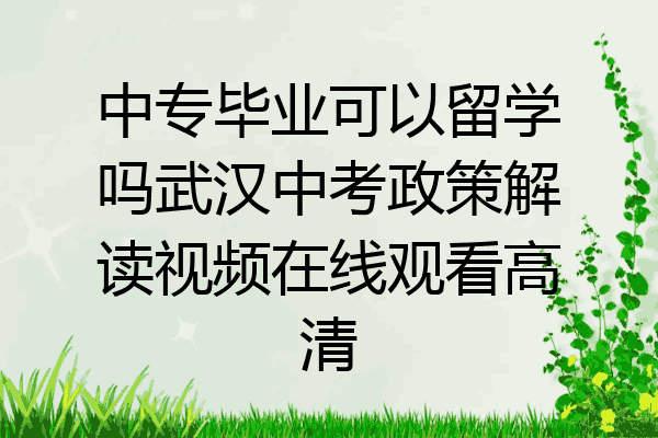 中专毕业可以留学吗武汉中考政策解读视频在线观看高清