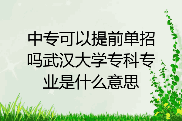中专可以提前单招吗武汉大学专科专业是什么意思