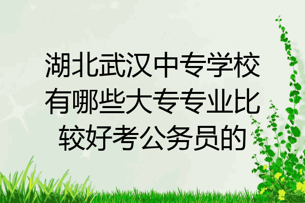 湖北武汉中专学校有哪些大专专业比较好考公务员的