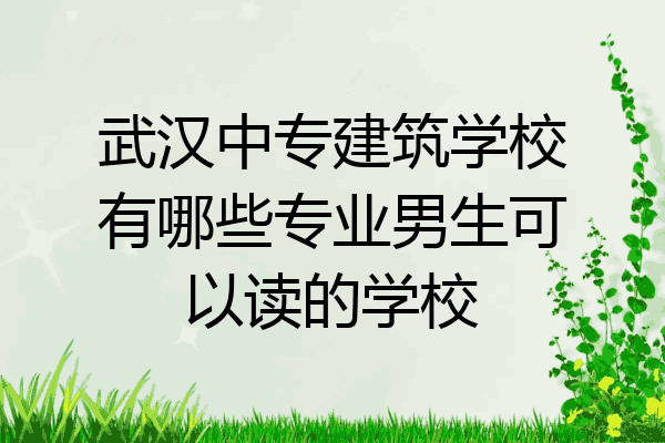 武汉中专建筑学校有哪些专业男生可以读的学校