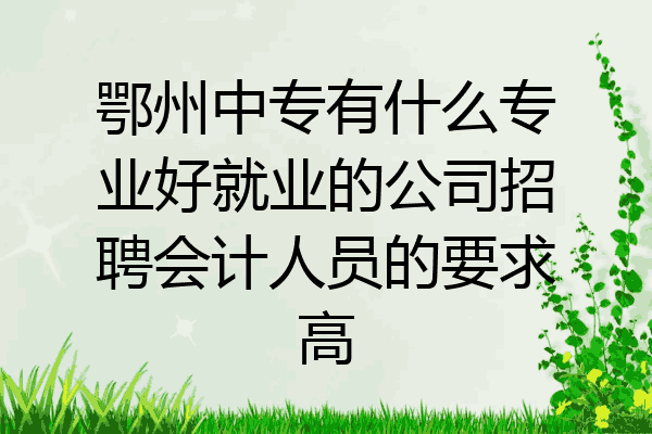 鄂州中专有什么专业好就业的公司招聘会计人员的要求高