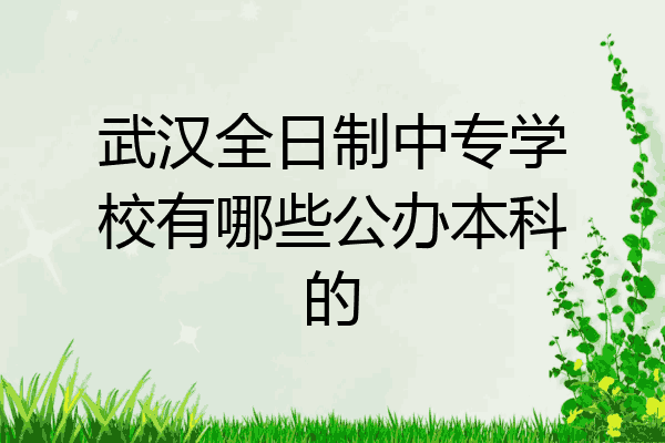 武汉全日制中专学校有哪些公办本科的