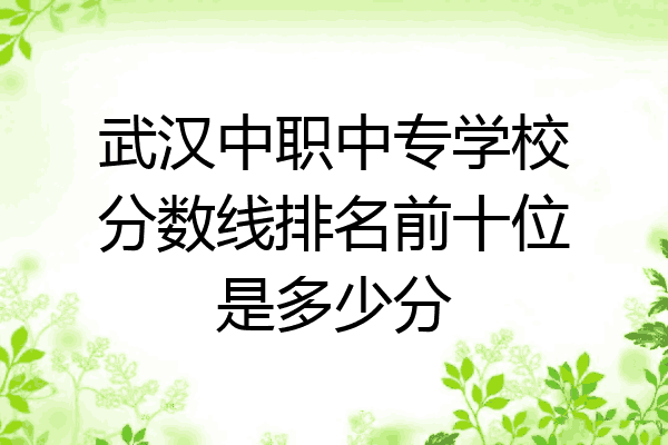 武汉中职中专学校分数线排名前十位是多少分
