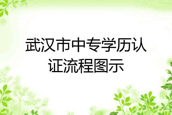 武汉市中专学历认证流程图示
