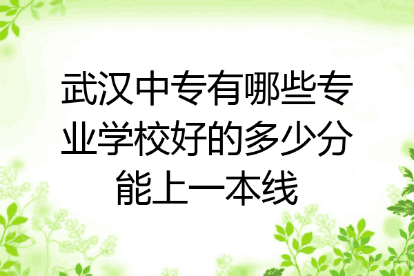 武汉中专有哪些专业学校好的多少分能上一本线
