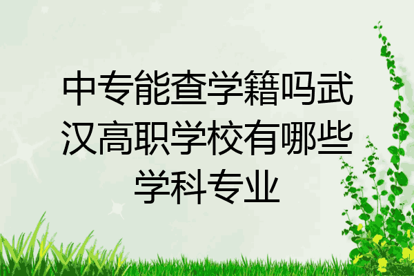 中专能查学籍吗武汉高职学校有哪些学科专业