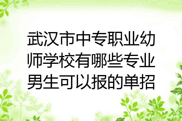 武汉市中专职业幼师学校有哪些专业男生可以报的单招
