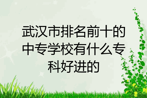 武汉市排名前十的中专学校有什么专科好进的