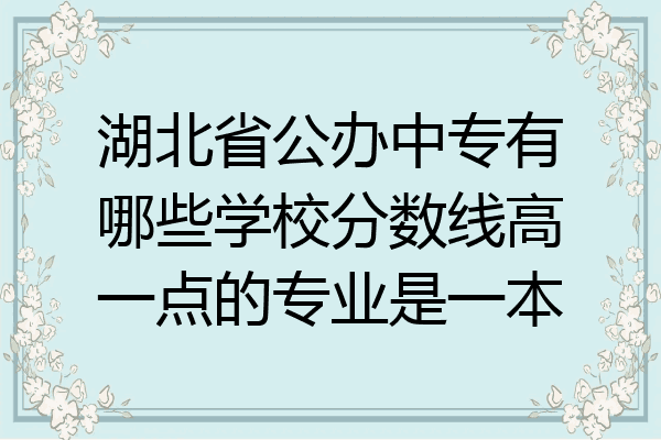 湖北省公办中专有哪些学校分数线高一点的专业是一本