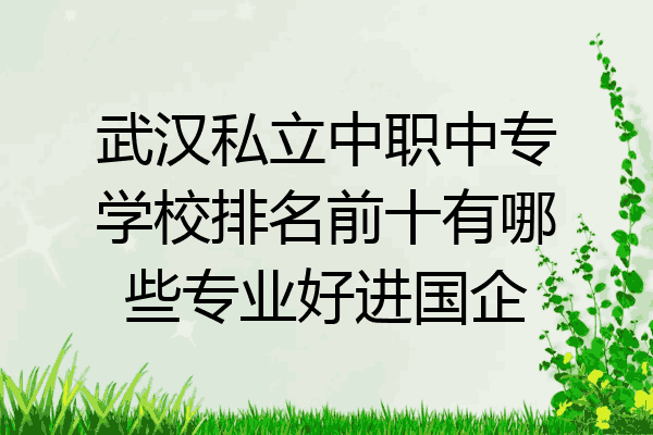 武汉私立中职中专学校排名前十有哪些专业好进国企