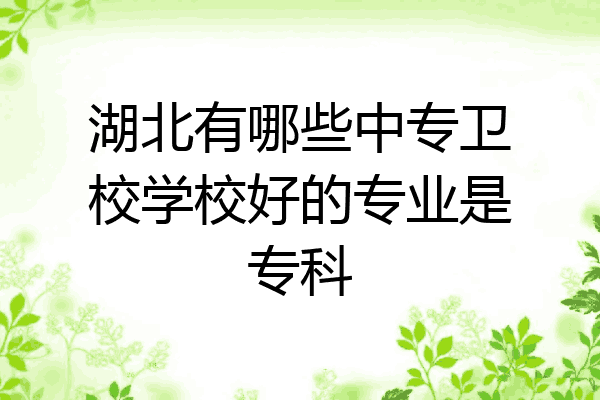 湖北有哪些中专卫校学校好的专业是专科