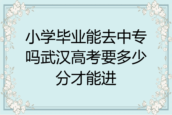 小学毕业能去中专吗武汉高考要多少分才能进