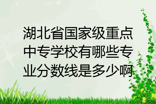 湖北省国家级重点中专学校有哪些专业分数线是多少啊