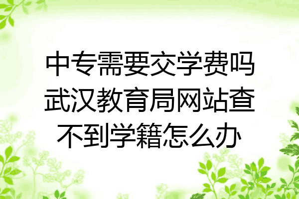 中专需要交学费吗武汉教育局网站查不到学籍怎么办