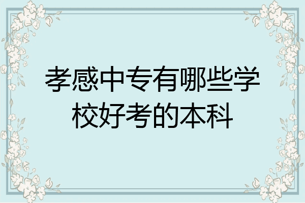 孝感中专有哪些学校好考的本科