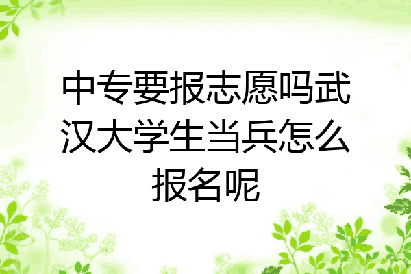 中专要报志愿吗武汉大学生当兵怎么报名呢