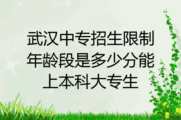 武汉中专招生限制年龄段是多少分能上本科大专生