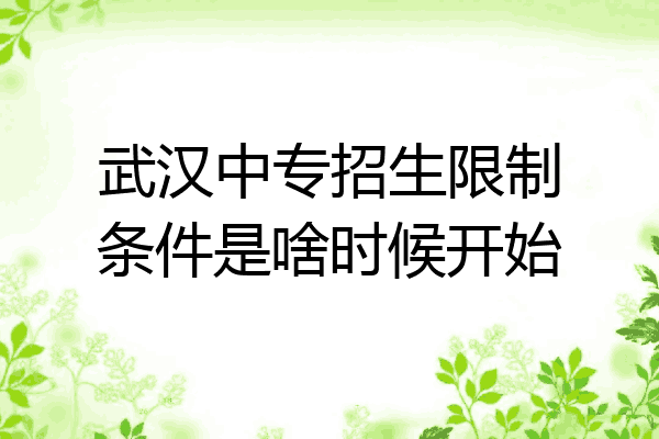 武汉中专招生限制条件是啥时候开始