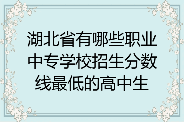 湖北省有哪些职业中专学校招生分数线最低的高中生