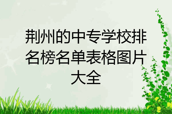 荆州的中专学校排名榜名单表格图片大全