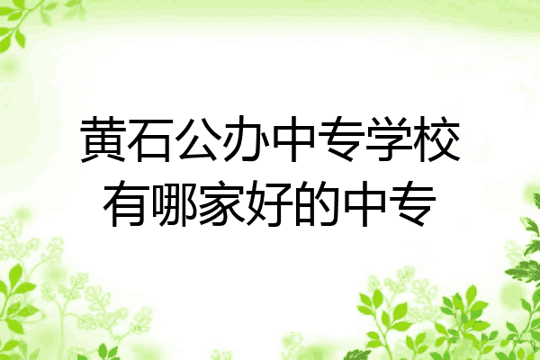 黄石公办中专学校有哪家好的中专