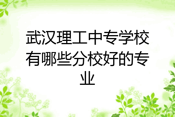 武汉理工中专学校有哪些分校好的专业