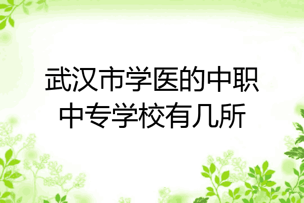 武汉市学医的中职中专学校有几所