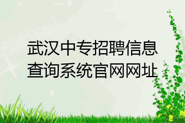 武汉中专招聘信息查询系统官网网址