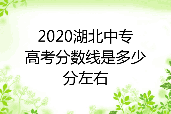 2020湖北中专高考分数线是多少分左右