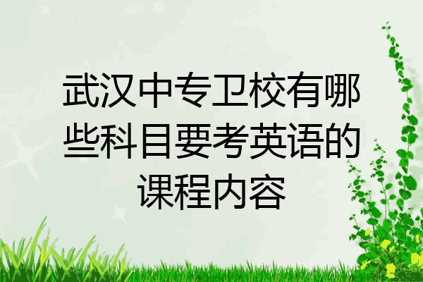 武汉中专卫校有哪些科目要考英语的课程内容