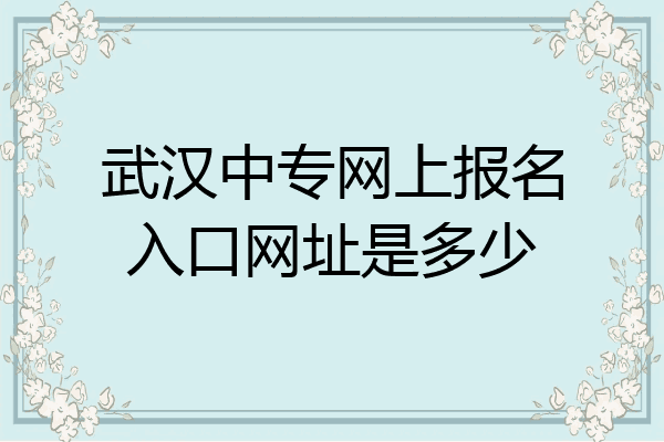 武汉中专网上报名入口网址是多少